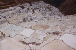 DSC07048 (Benutzerdefiniert)