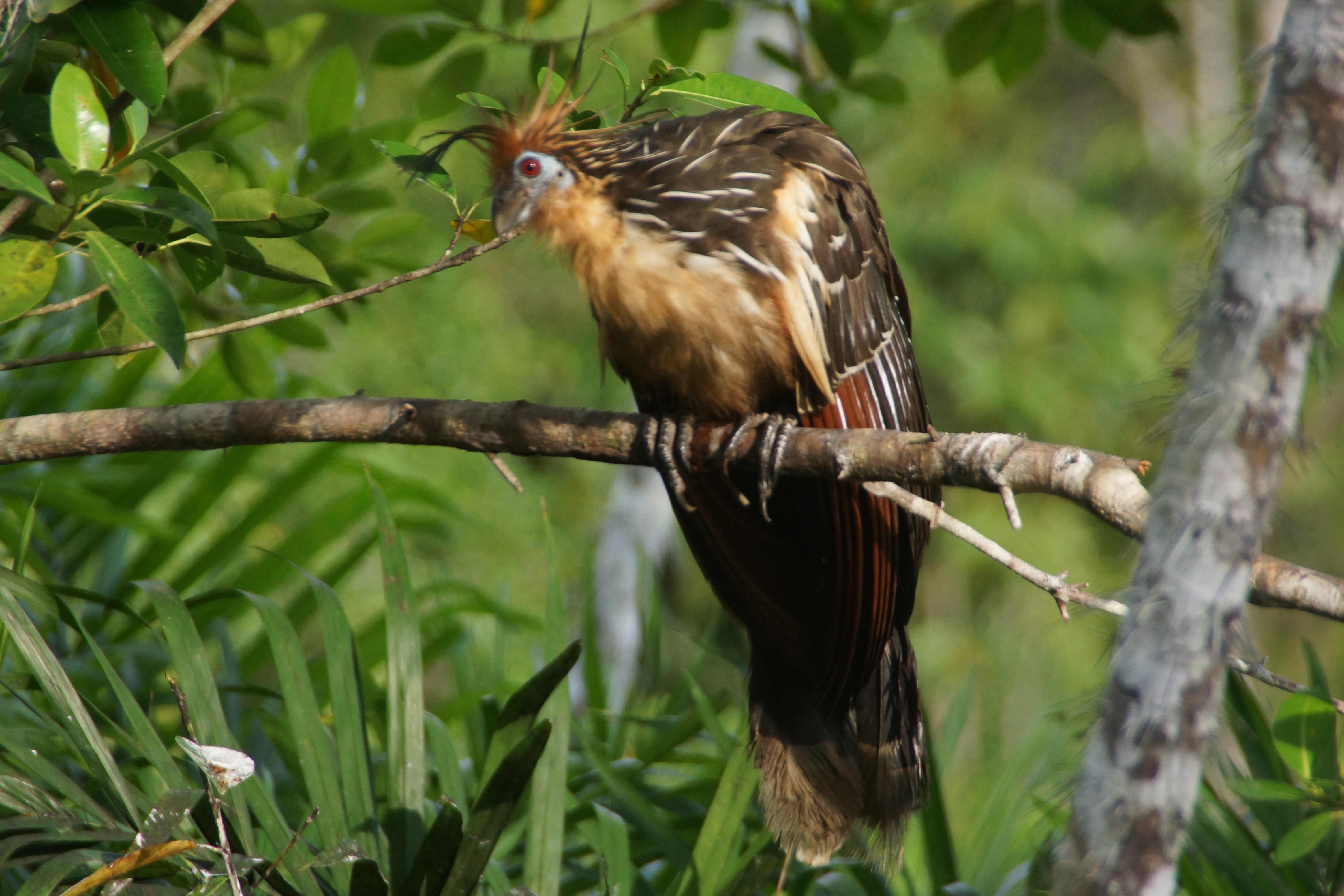 DSC07670-b benutzerdefiniert