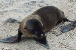 IMG_20241103_103044 (Benutzerdefiniert)