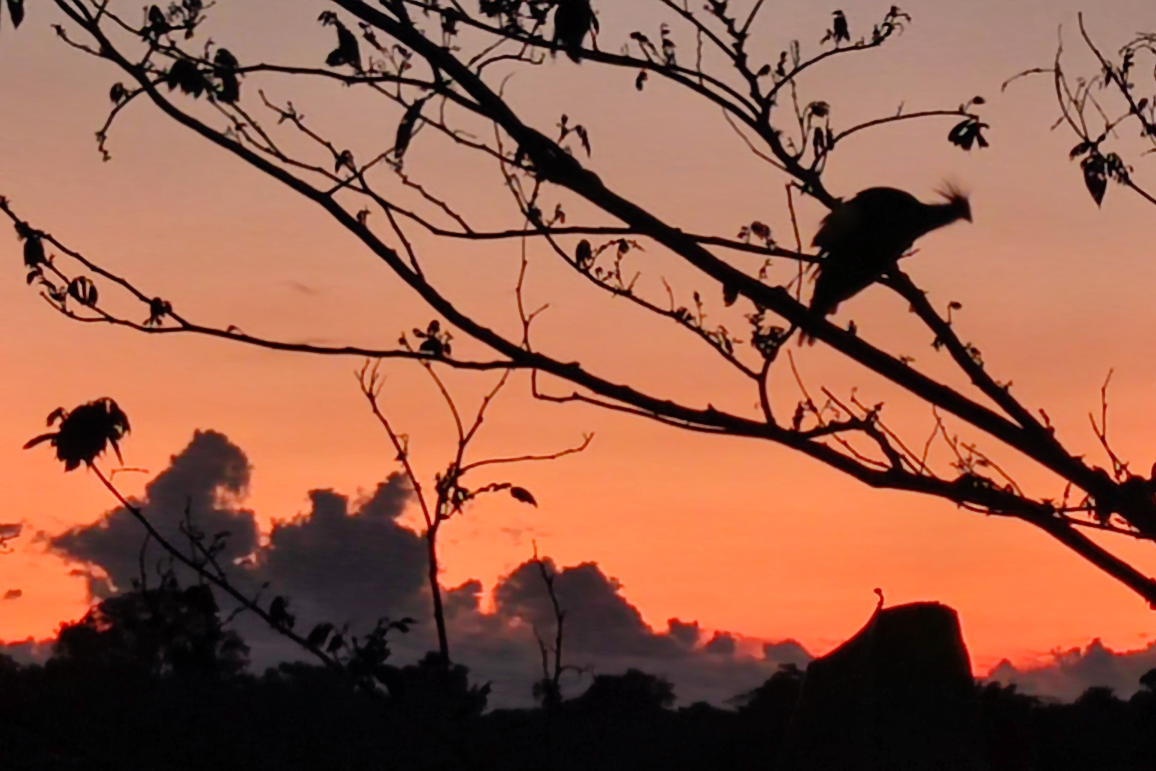 IMG_20241111_181956_1731368469543