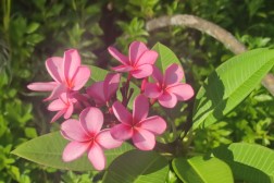 IMG_20250921_152409~2 (Benutzerdefiniert)