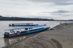 Napo Fluss 2 IMG_20241110_064936 Napo